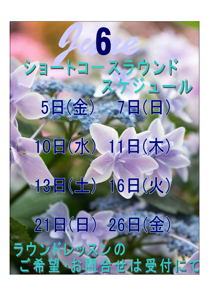 2015.6月ショートコース