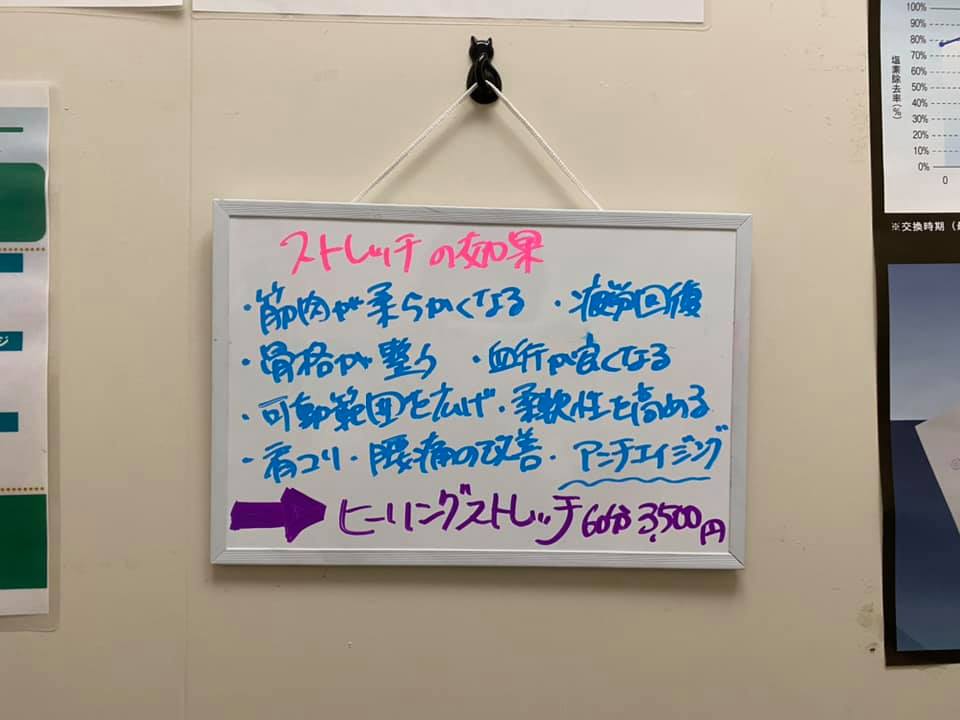 116545398_1943008625830774_3286113061818738964_n