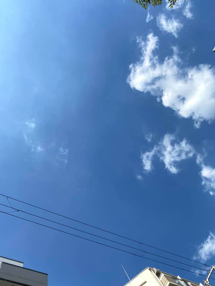 118438115_1970310636433906_6976924968750721787_n